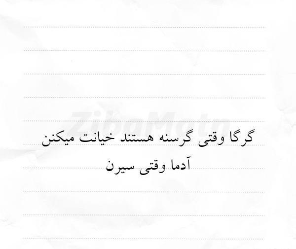 عکس نوشته خاص خیانت