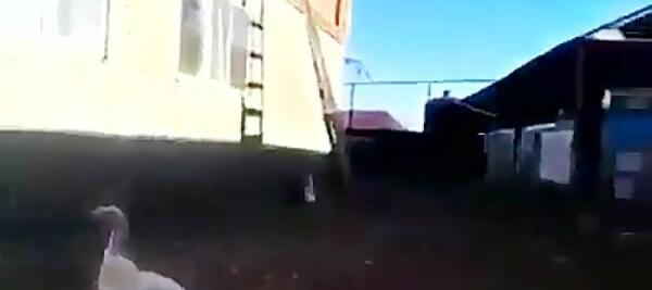 عکس قبر شمر و یزید