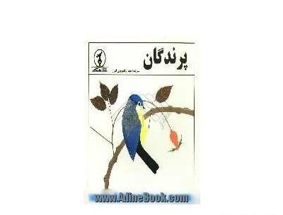 عکس پروانه شب پره