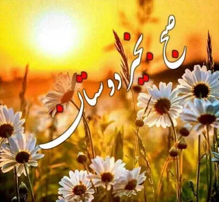 عکس صبح بخیر جمعه تابستانی