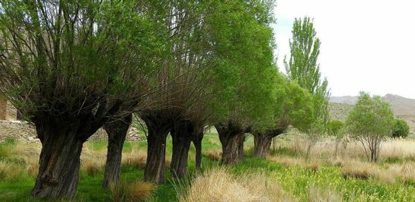 عکس روستای سه اصفهان