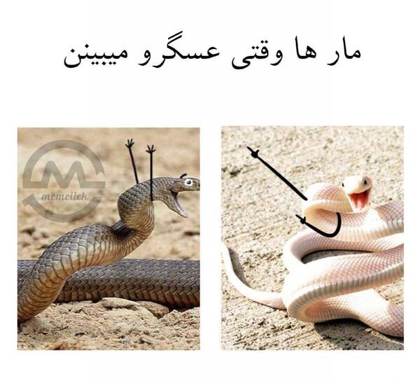 عکس مار طنز