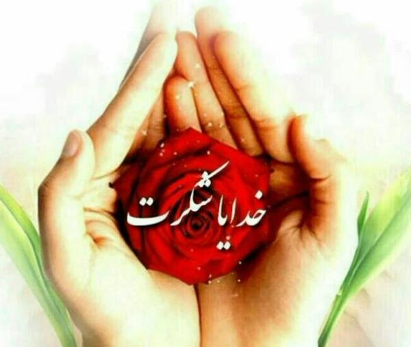 عکس گل خدایا شکرت