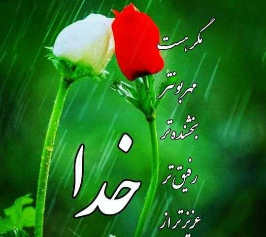 عکس گل خدایا شکرت