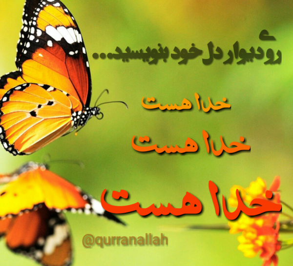 عکس گل خدایا شکرت