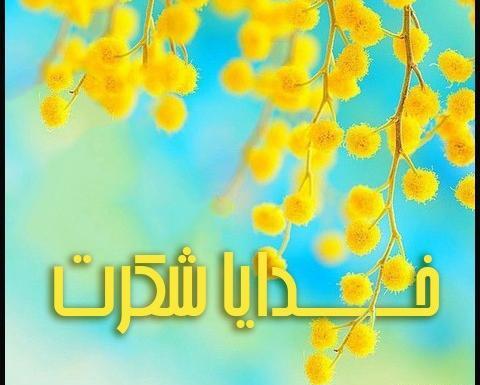عکس گل خدایا شکرت