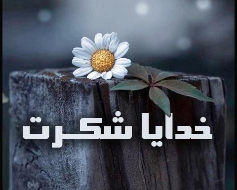 عکس گل خدایا شکرت