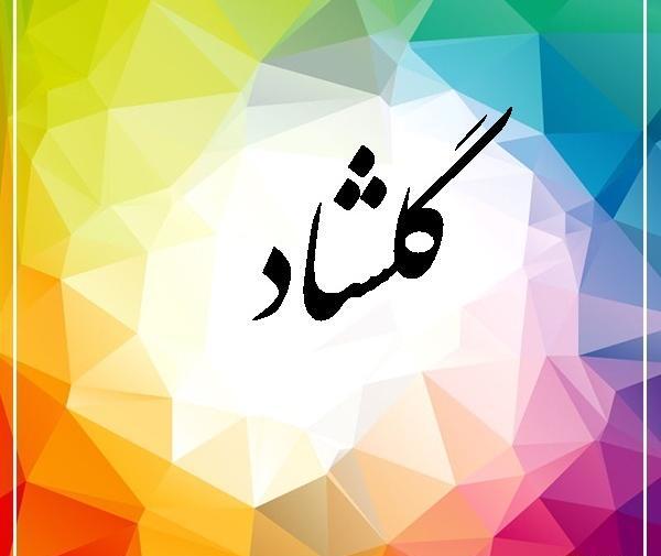 عکس نوشته از محمدرضا گلزار