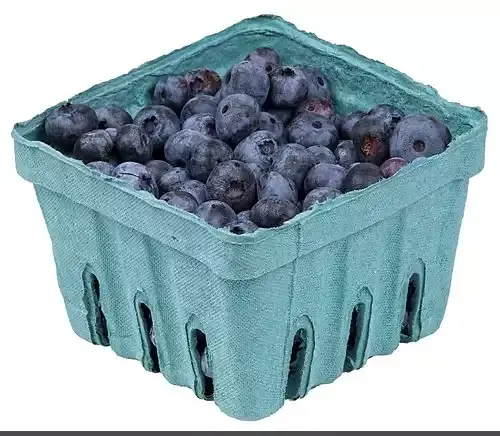 عکس سیاه گیله