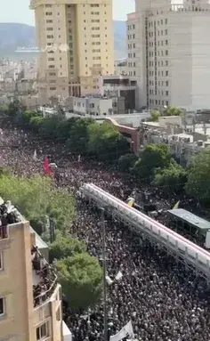 عکس شیطان دریایی در موزه مشهد
