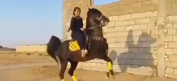 عکس شیطان دریایی در موزه مشهد