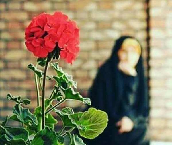 عکس گل نرگس در دست دختر چادری