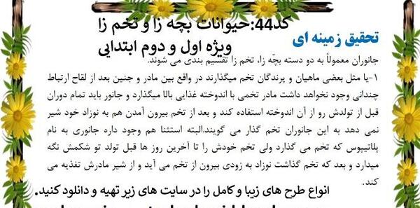 عکس حیوانات بچه زا