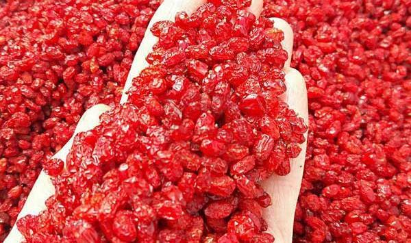 عکس زرشک اناری
