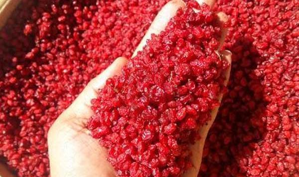 عکس زرشک اناری
