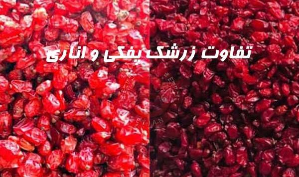عکس زرشک اناری
