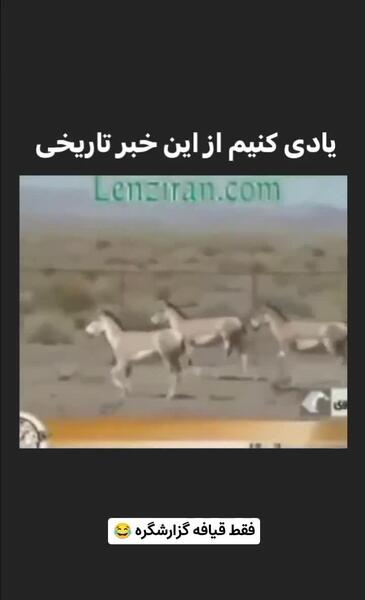 عکس طنز آهو
