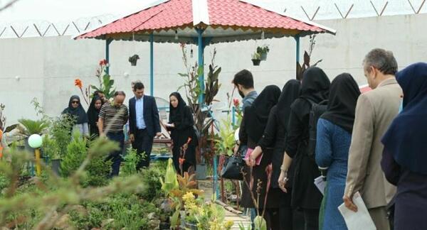 عکس جاده ضیابر