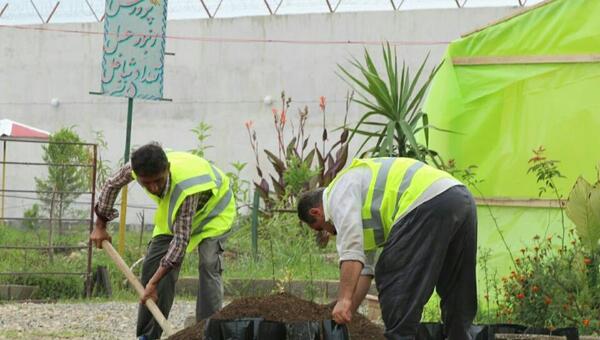 عکس جاده ضیابر