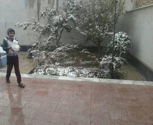 عکس داداش زاده
