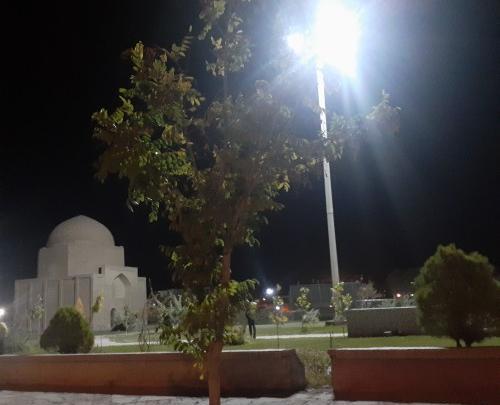 عکس داداش زاده