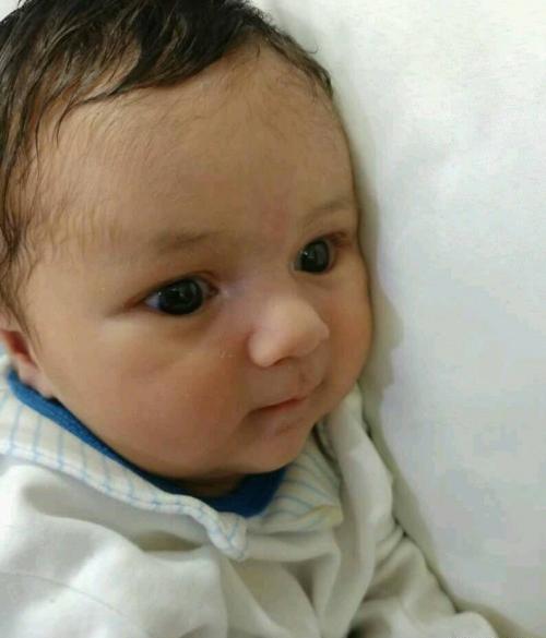عکس داداش زاده