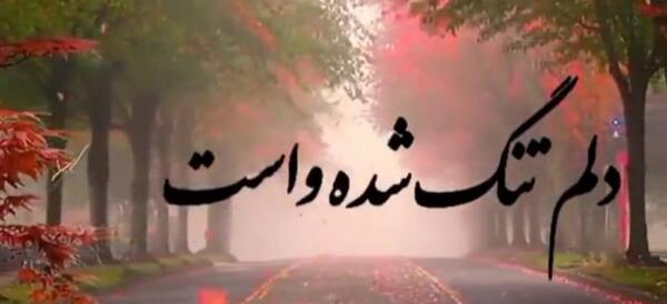 کلیپ عکس نوشته غمگین برای وضعیت واتساپ