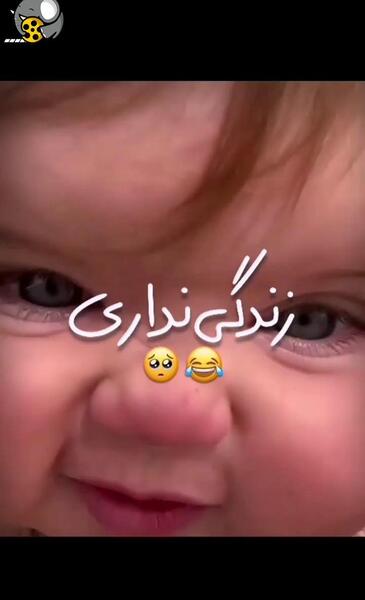 عکس دسته نوزاد