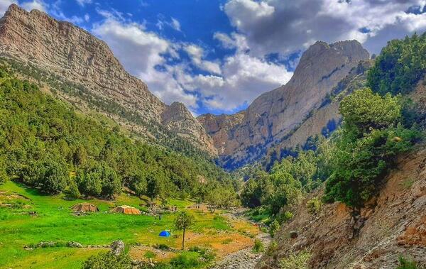 عکس کلبه چوبی تو جنگل