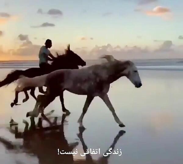 عکس نوشته ذات پاک پشتش خداست