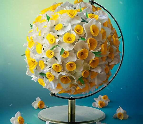عکس نوشته شهید رضا حاجی زاده