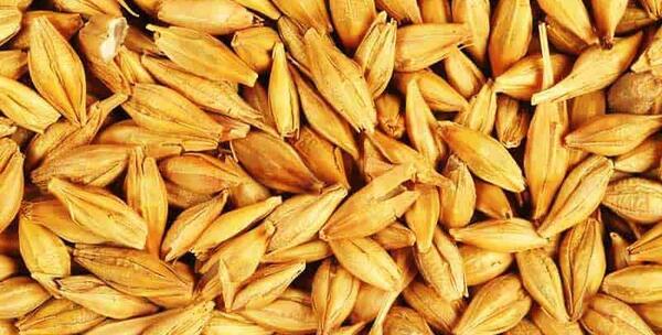 عکس تصاویر جو دوسر پرک