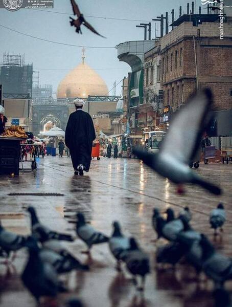 عکس صحن حرم امام علی