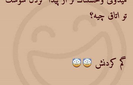 عکس نوشته سوسک