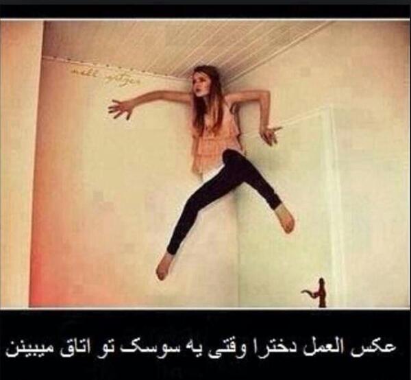 عکس نوشته سوسک