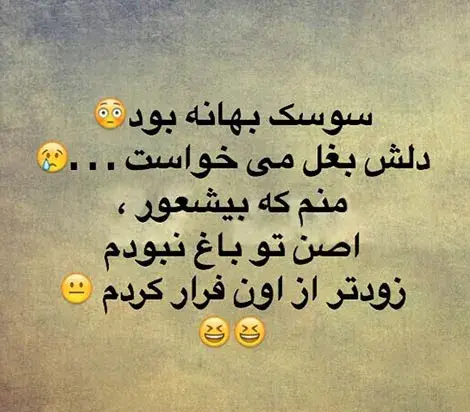 عکس نوشته سوسک