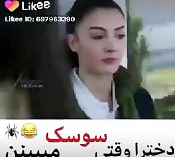عکس نوشته سوسک
