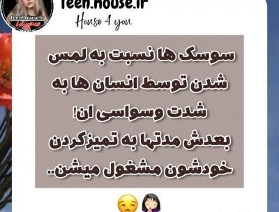 عکس نوشته سوسک