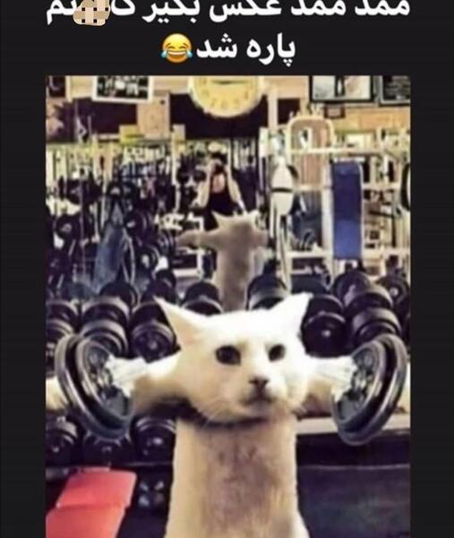 عکس ممد رپر