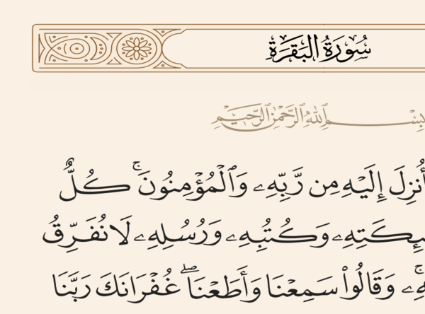 عکس کامل سوره بقره
