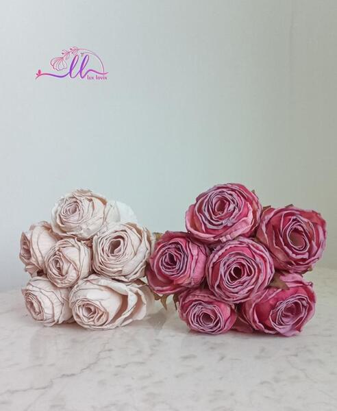 عکس گل رز سوخته