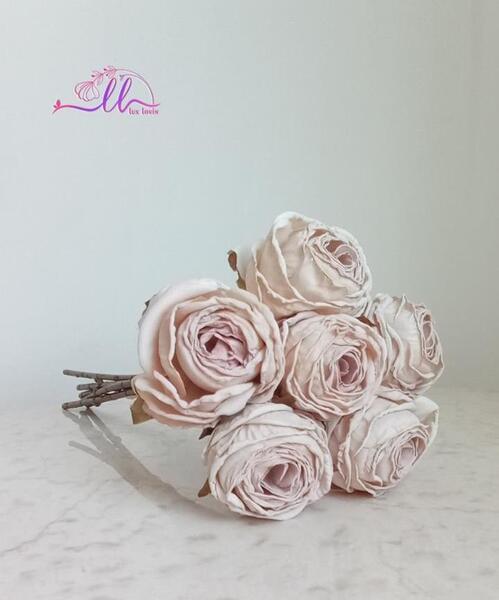 عکس گل رز سوخته