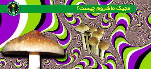 عکس مواد سم