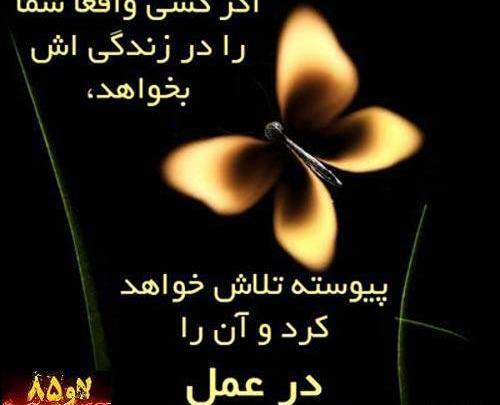 عکس نوشته حسادت روی عشق