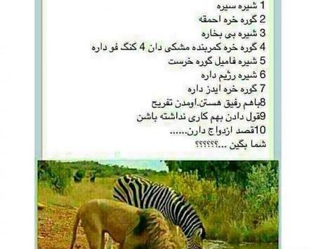عکس نوشته شاخ خنده دار