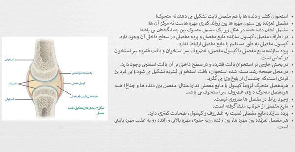 عکس اسکلت زیست یازدهم