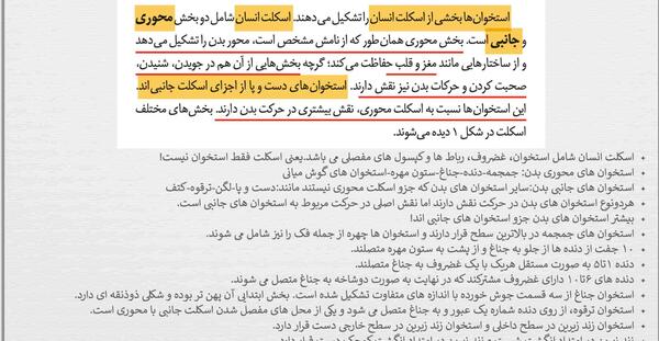 عکس اسکلت زیست یازدهم