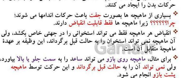 عکس اسکلت زیست یازدهم