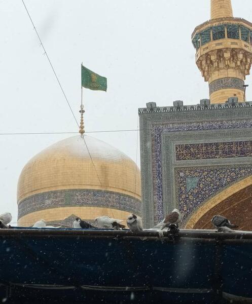 عکس از حرم امام رضا طبیعی