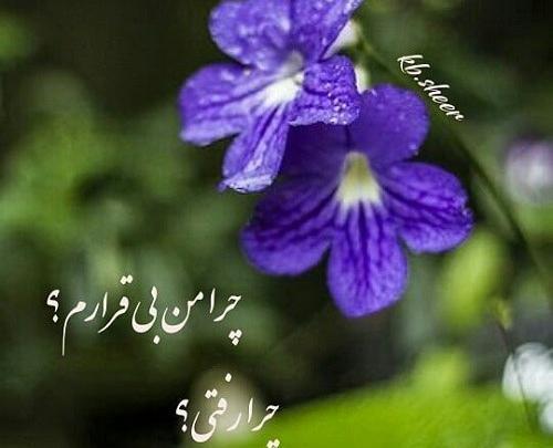 عکس نوشته چرا زود رفتی